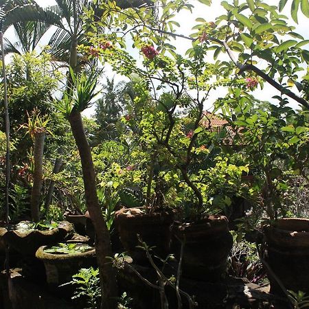Raditia Homestay Ubud  Ngoại thất bức ảnh